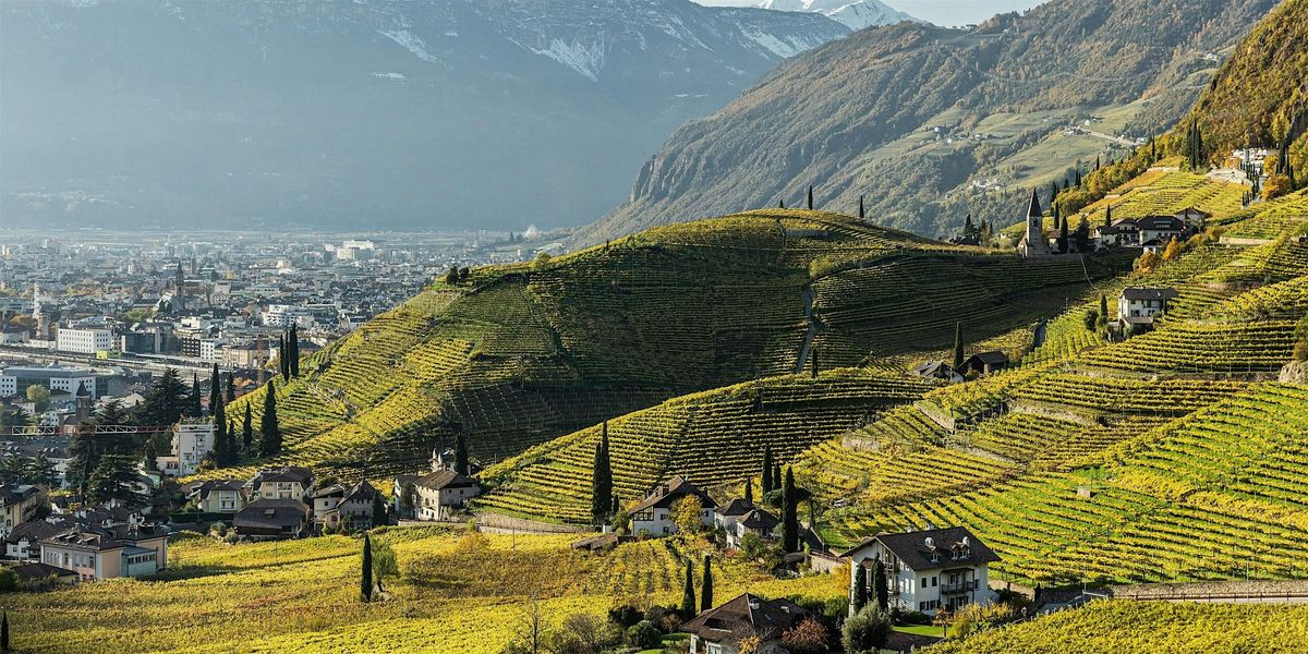 Il sentiero REBE: una passeggiata tra i paesaggi collinari di Bolzano