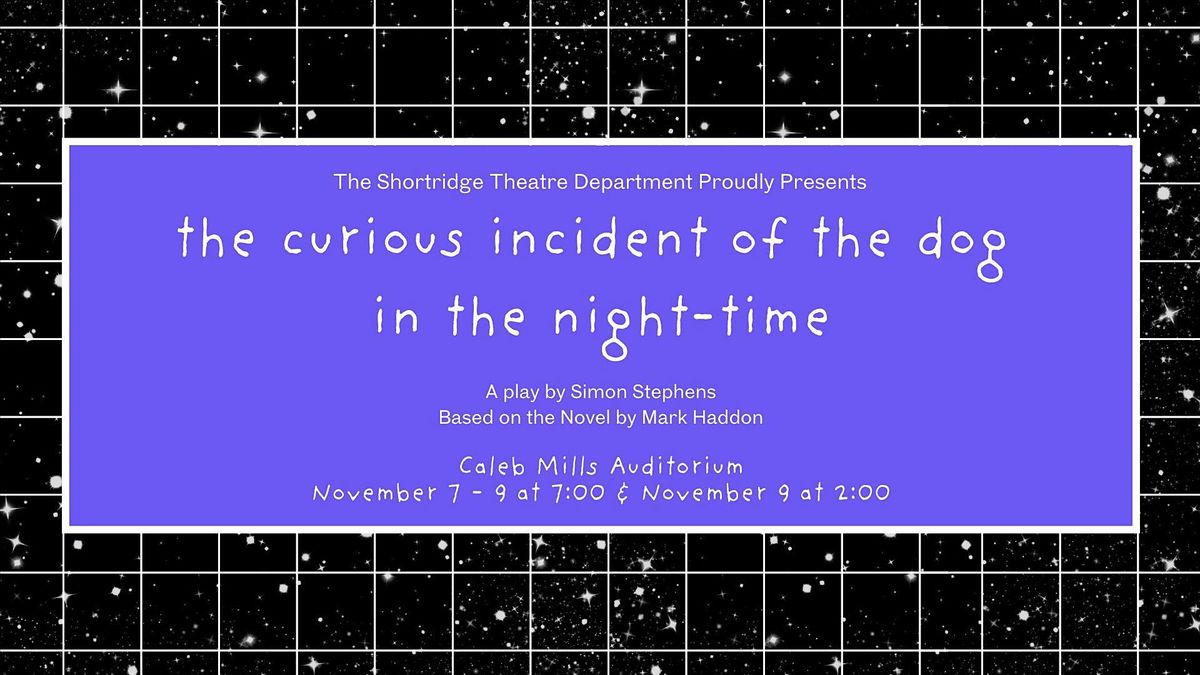 The Curious Incident of the Dog in the Night-Time