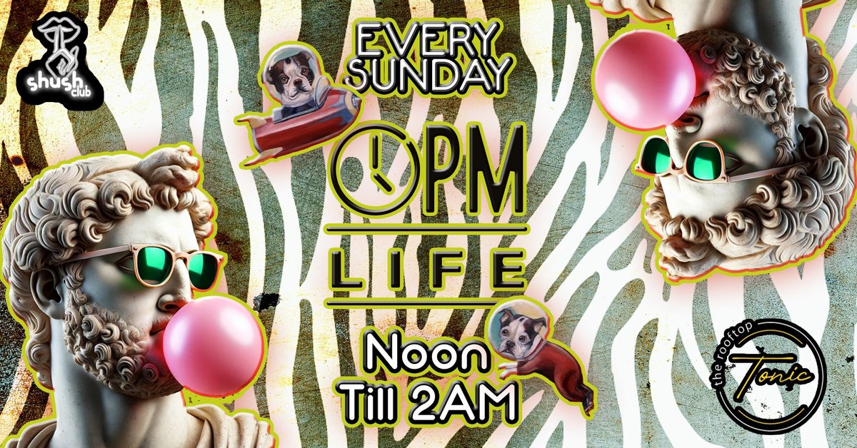 PM Life - The Afternoon lifestyle party 