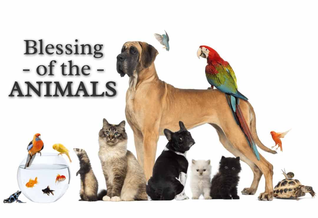 Blessing of Animals