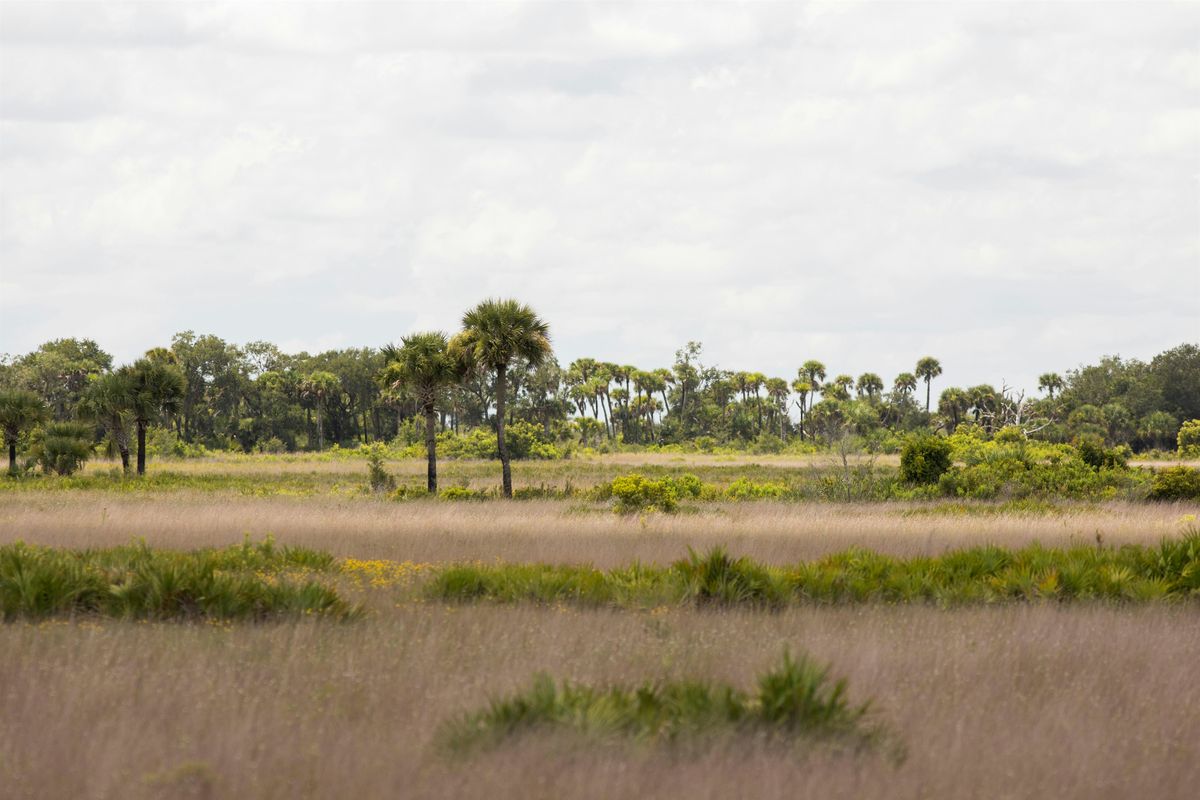 4th Annual DeLuca Bioblitz