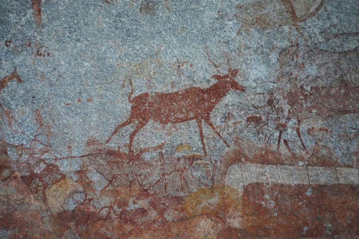 Homecoming: A Foundation Course in Shamanic Journeying Open Afternoon