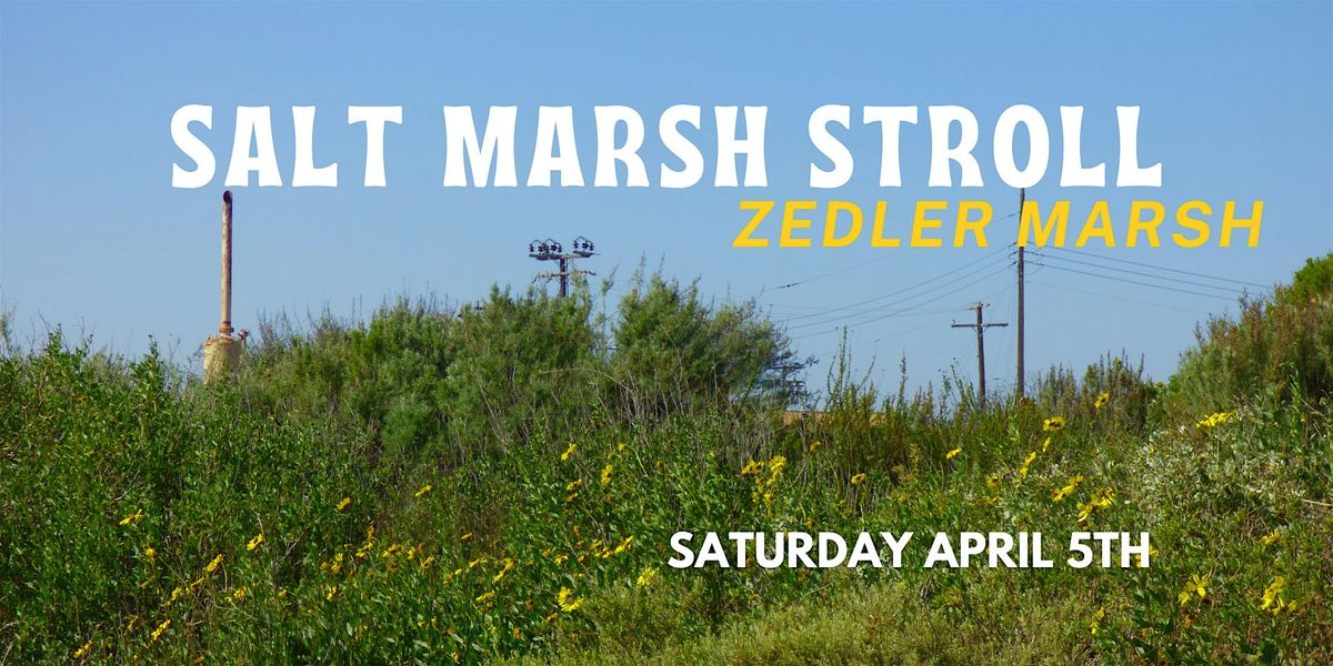 Los Cerritos Wetlands Nature Walk : Salt Marsh Stroll