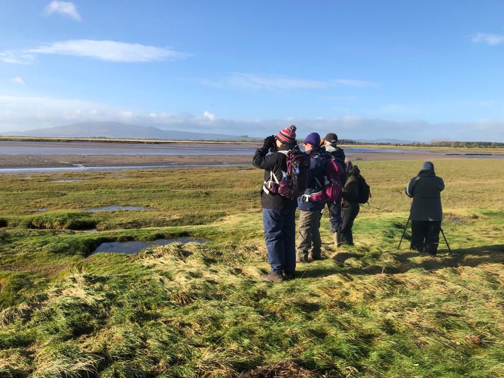 Dumfries and Galloway Bird Watching    Grade: Leisurely