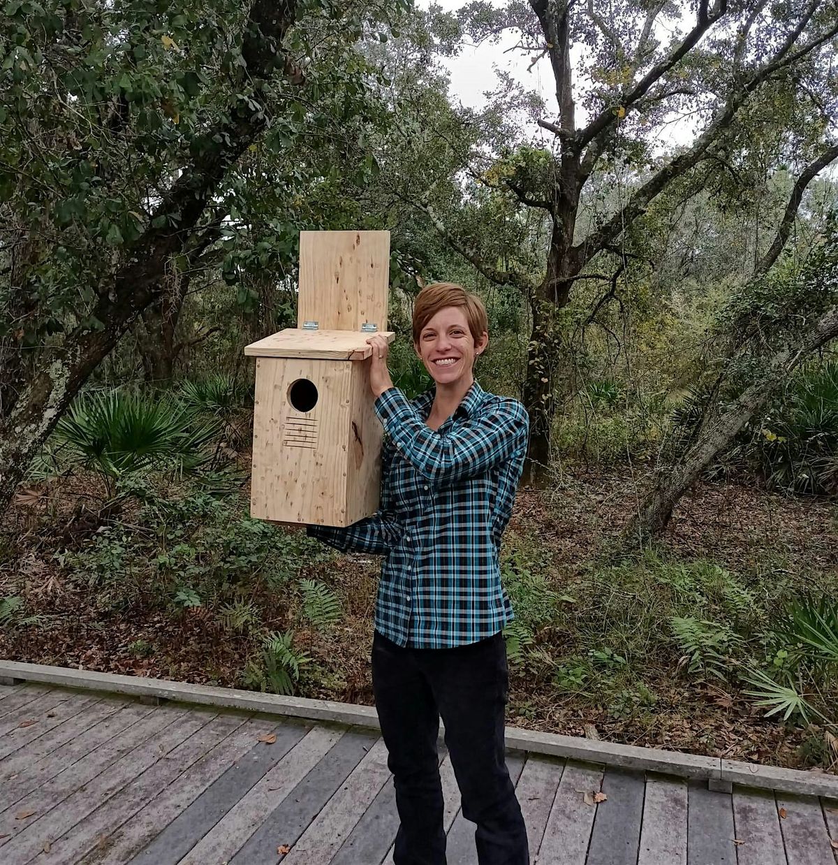 Nest Box Building Workshop