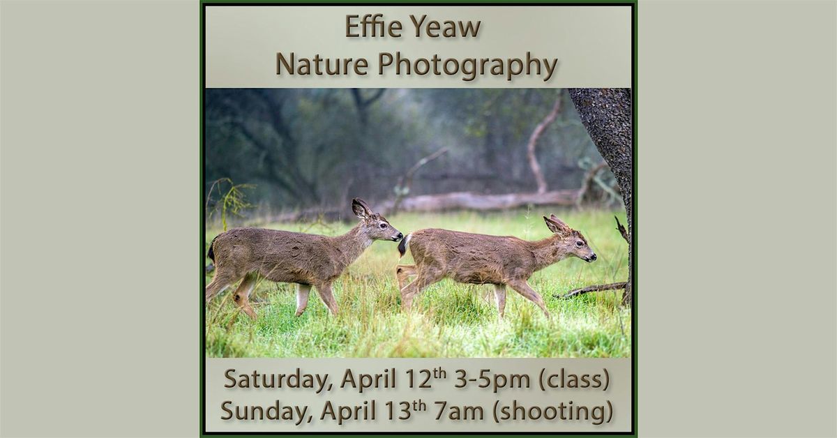 Effie Yeaw Nature Photography Workshop