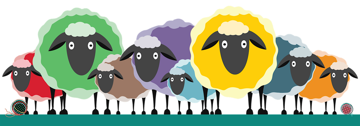 Frederick FiberFest - Fall 2025