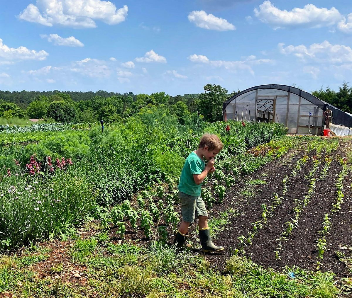 Cultivating A Legacy with Jolene Brown