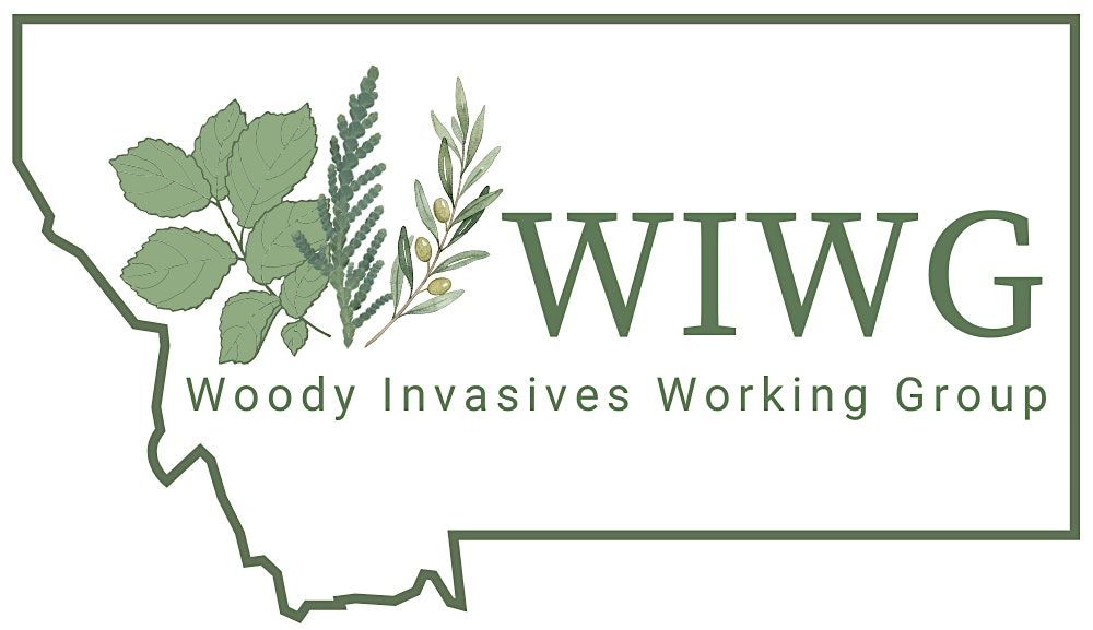 WIWG River Tour