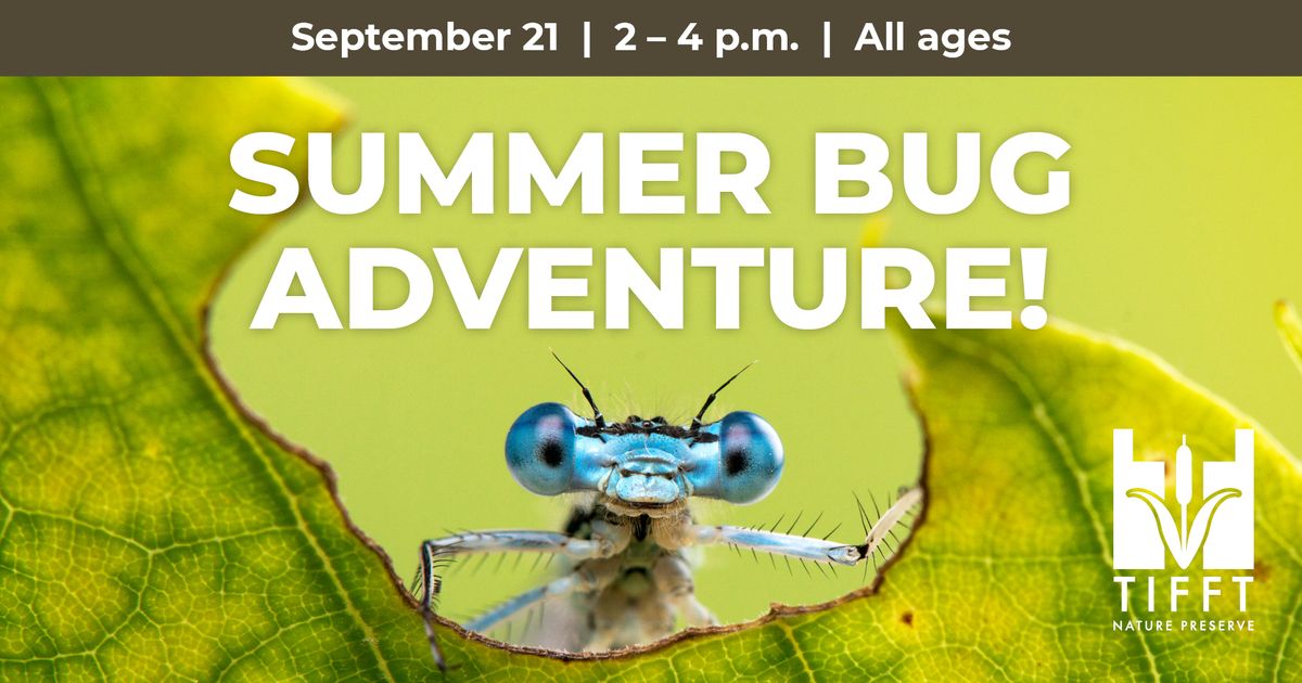 Summer Bug Adventure! (All ages)