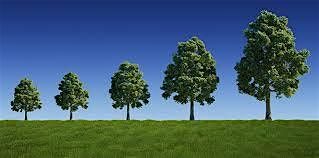 Planned Giving Strategies - Maximizing Gifts for Donors and Non-Profits