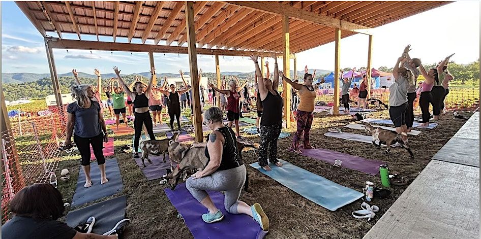 Sunflower Baby Goat Yoga 2025!