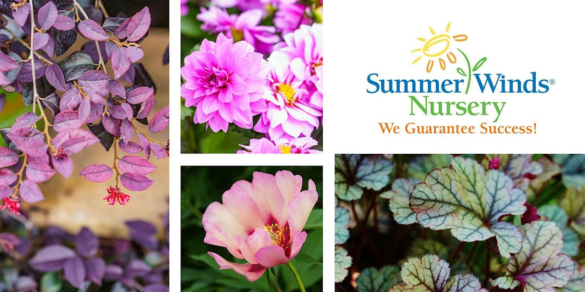 Fall Container Gardens: Design & Plant Picks - PaloAlto