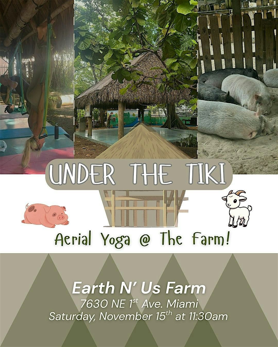 BACK TO OUR ROOTS - Aerial Yoga in Nature