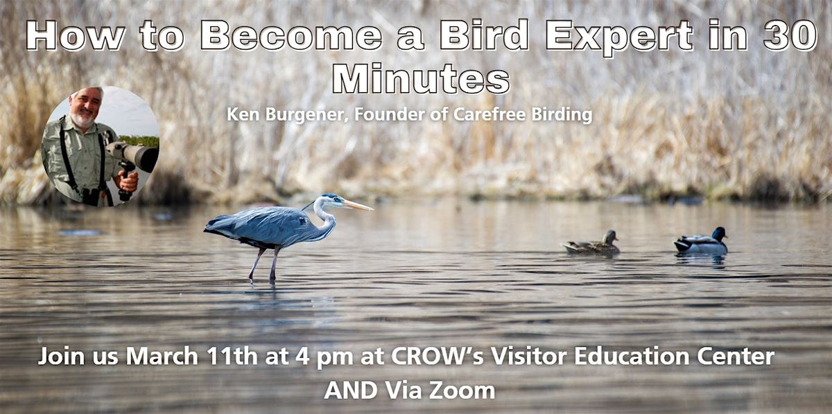 How to Become a Bird Expert in 30 Minutes or Less with Ken Burgener