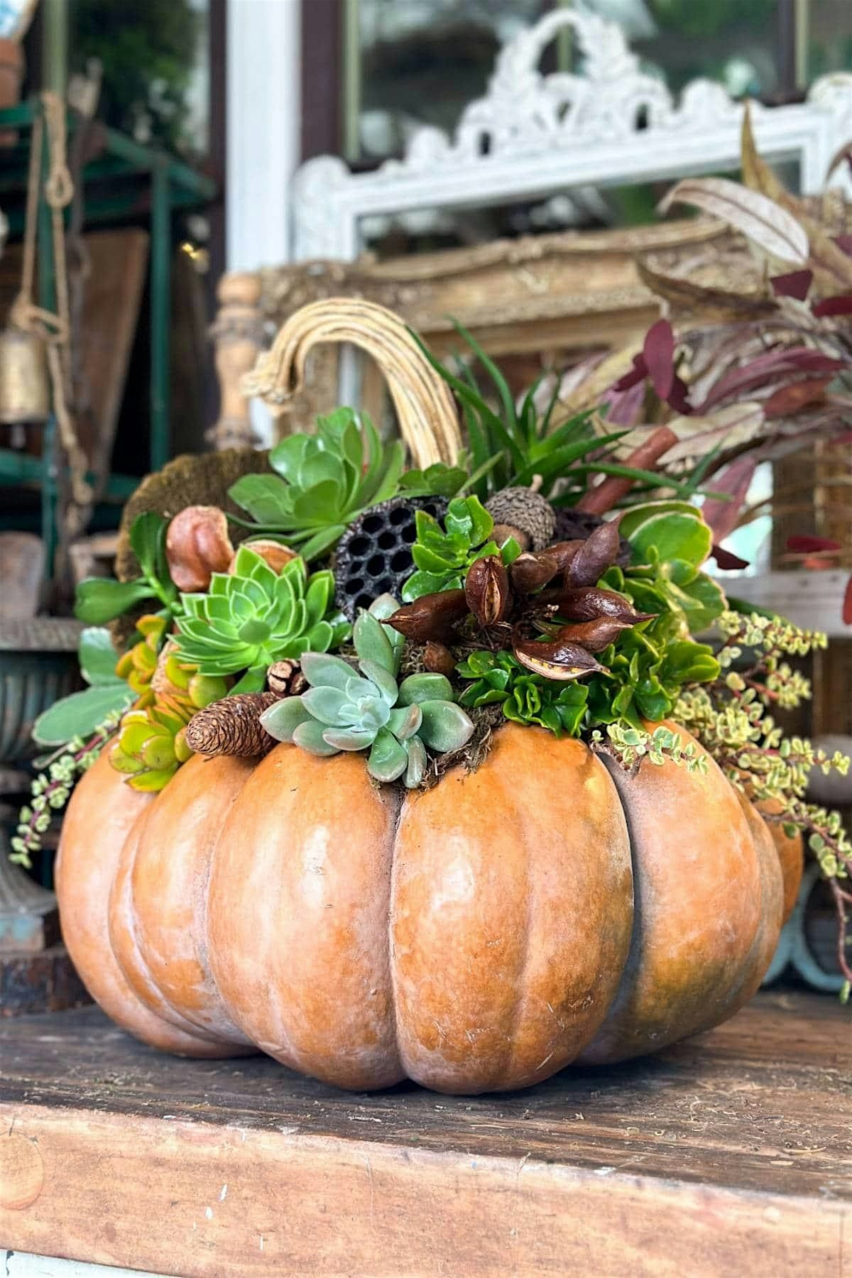 Pumpkin Centerpiece Party