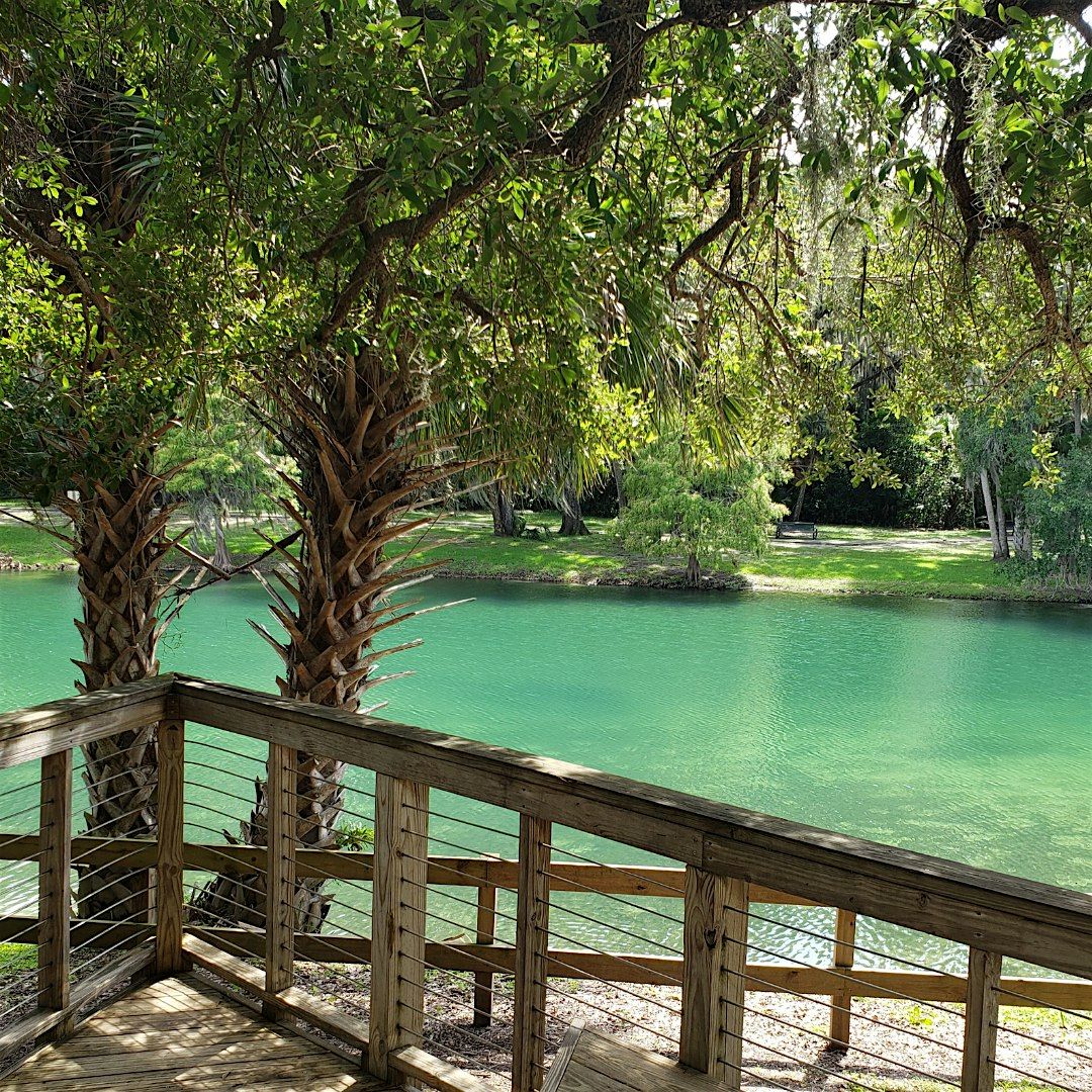 Forest Bathing at Gemini Springs