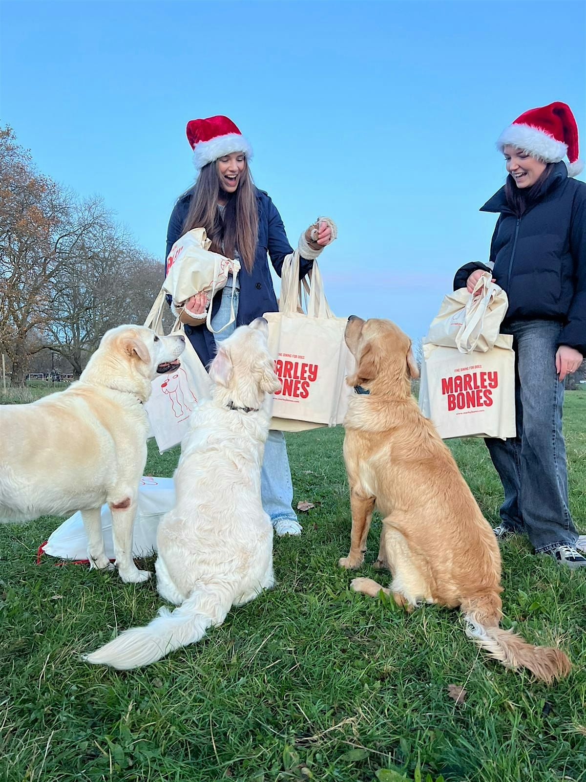 New Year, New Walkies with Marleybones!