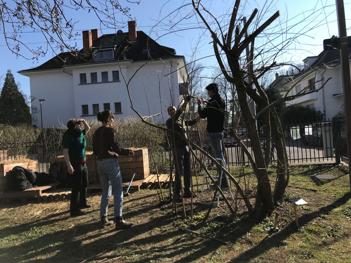 Chantier participatif : Reconstruction de la cabane en saule du Jardin du Schloessel