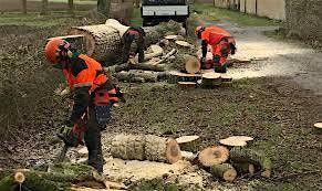 LANTRA Chainsaw Maintenance & Crosscutting with Felling Trees up to 380mm