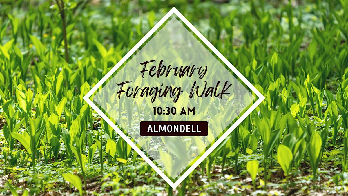 Valentine's Foraging Walk, Plants and Mushrooms