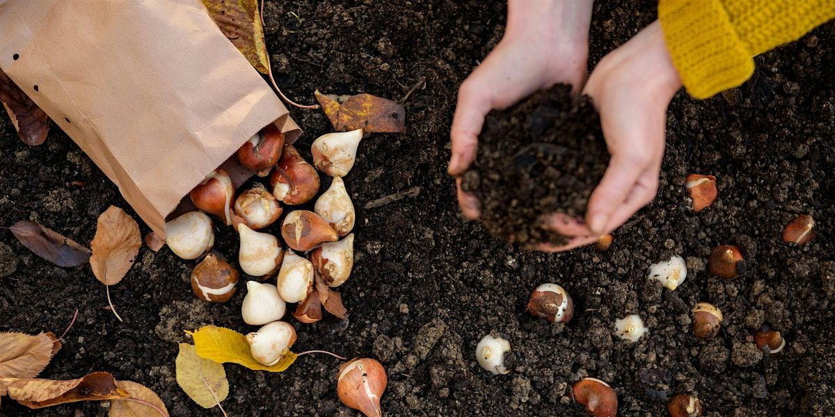 Planting Spring Bulbs with Val at Mahoney's Brighton