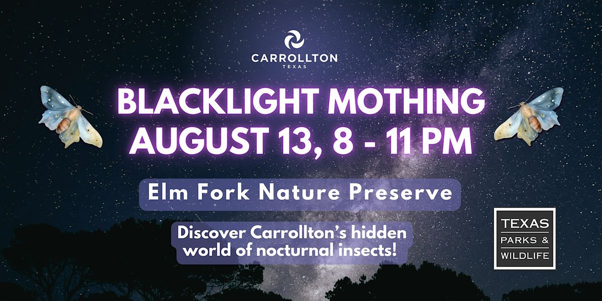 Blacklight Mothing @ Elm Fork Nature Preserve Carrollton