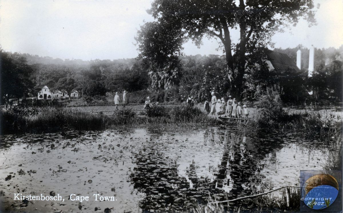 Paradise Valley - A Heritage Walking Tour through Kirstenbosch Gardens