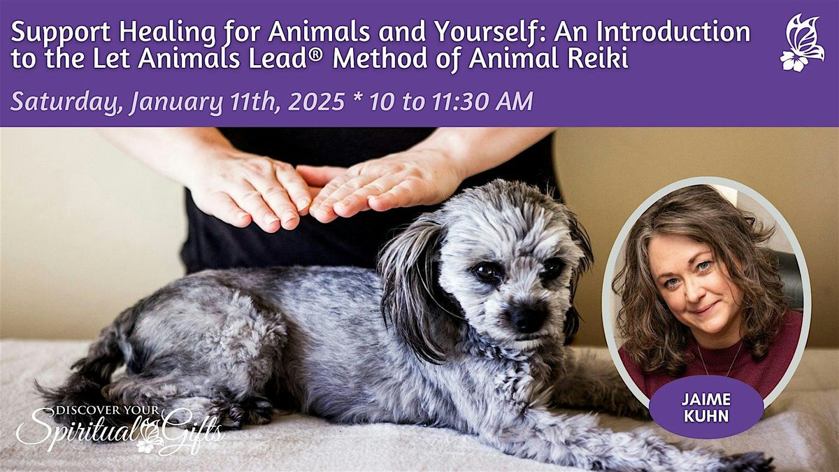 Support Healing for Animals and Yourself: Let Animals Lead\u00ae Method