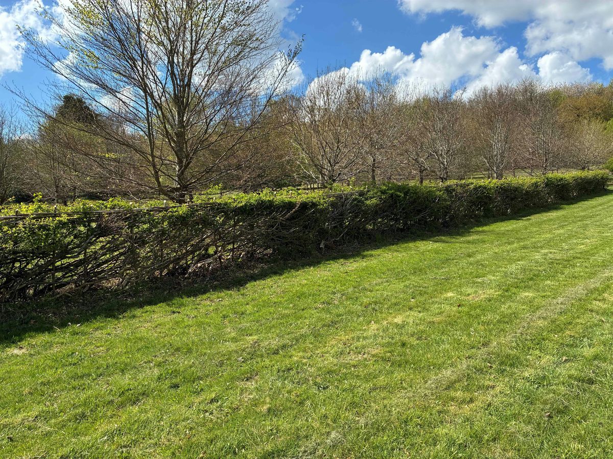 Hedgelaying, a talk by Paul Heath