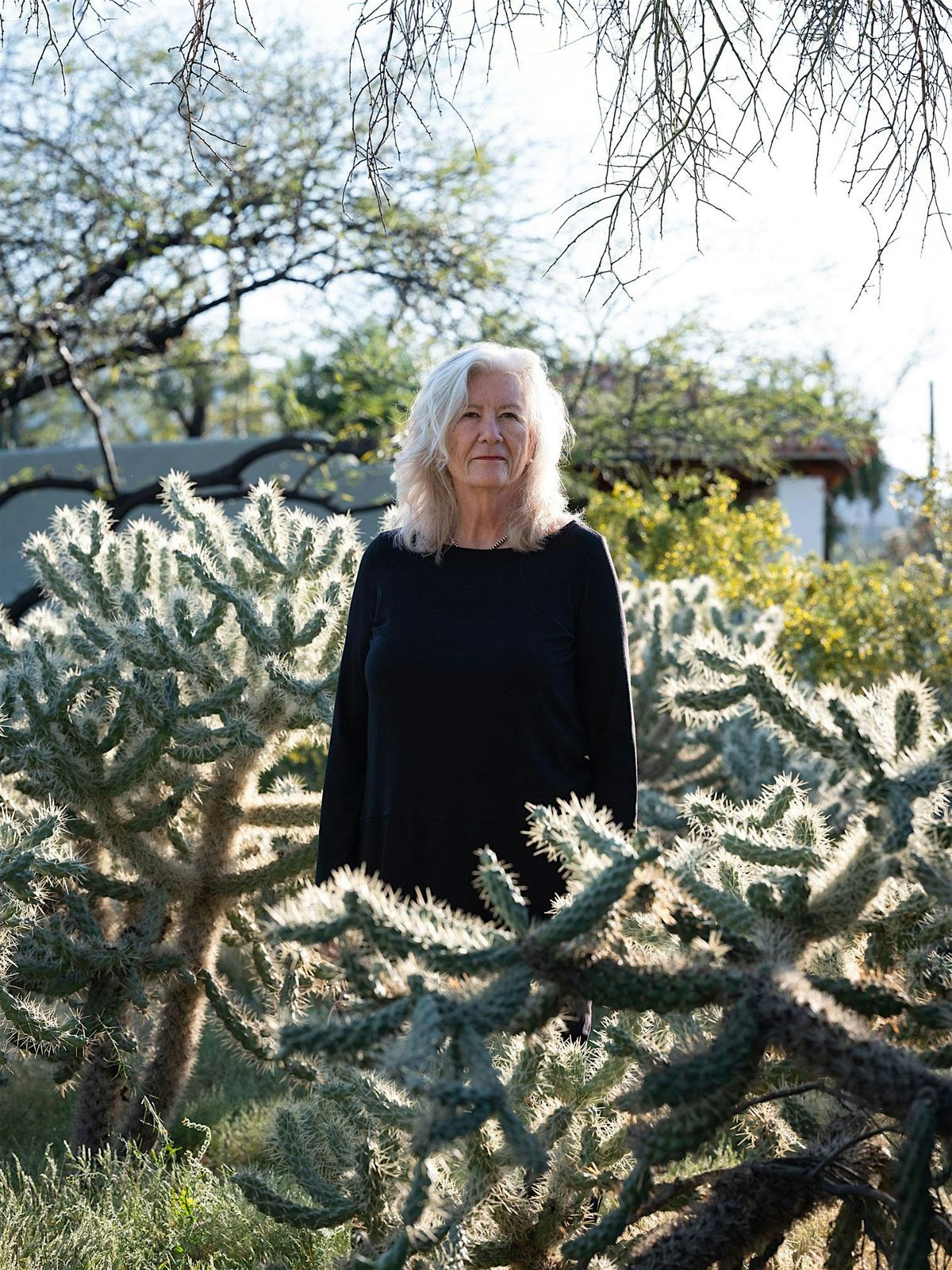 Visual Narratives: Extending the Sequence with Mary Virginia Swanson