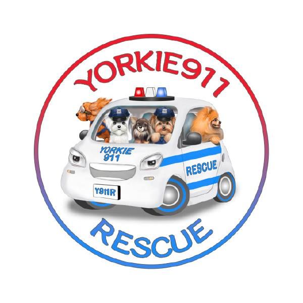 Yorkie 911 Adoption Event