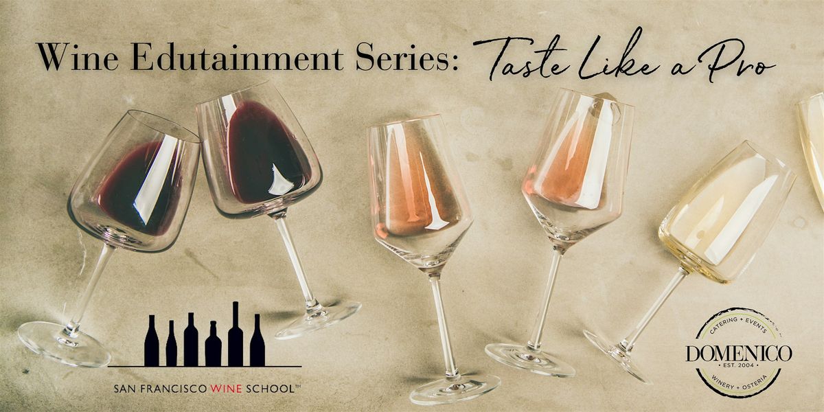 Wine Edutainment: Taste Like a Pro