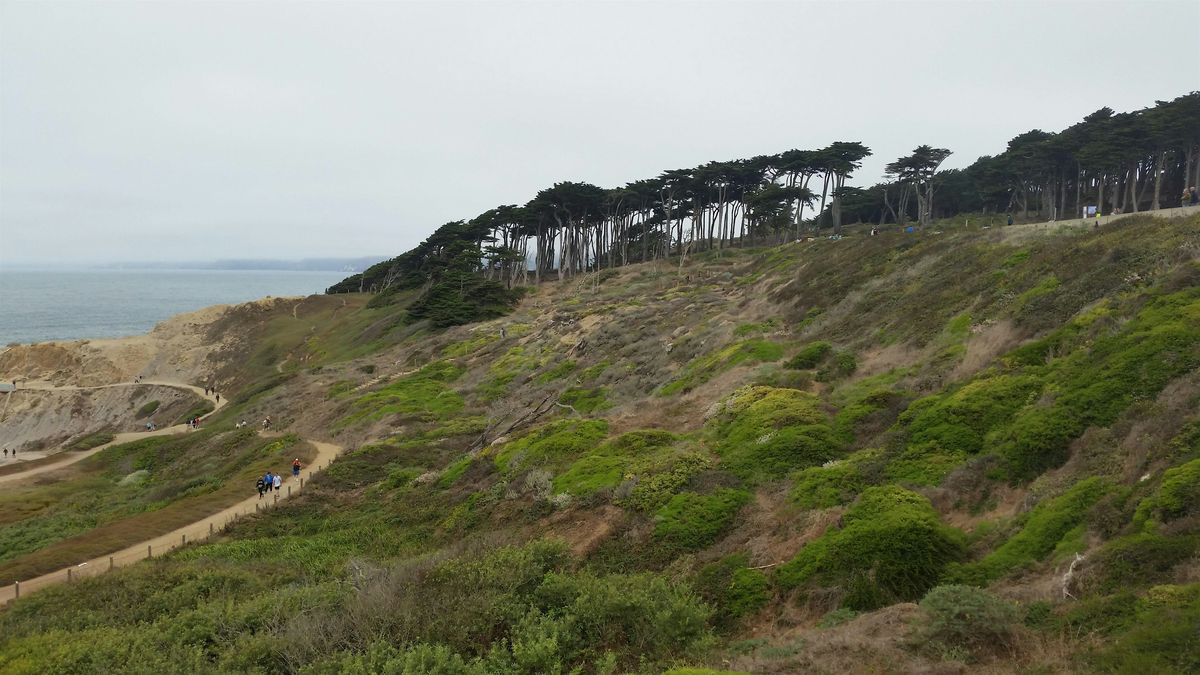 The Rim Run: Sections 5 and 6 of the Roundabout