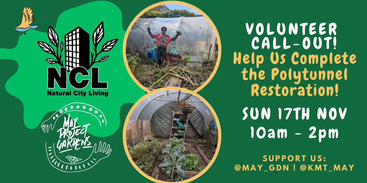 POLYTUNNEL RESTORATION:  VOLUNTEER CALL-OUT @ MAY PROJECT GARDENS