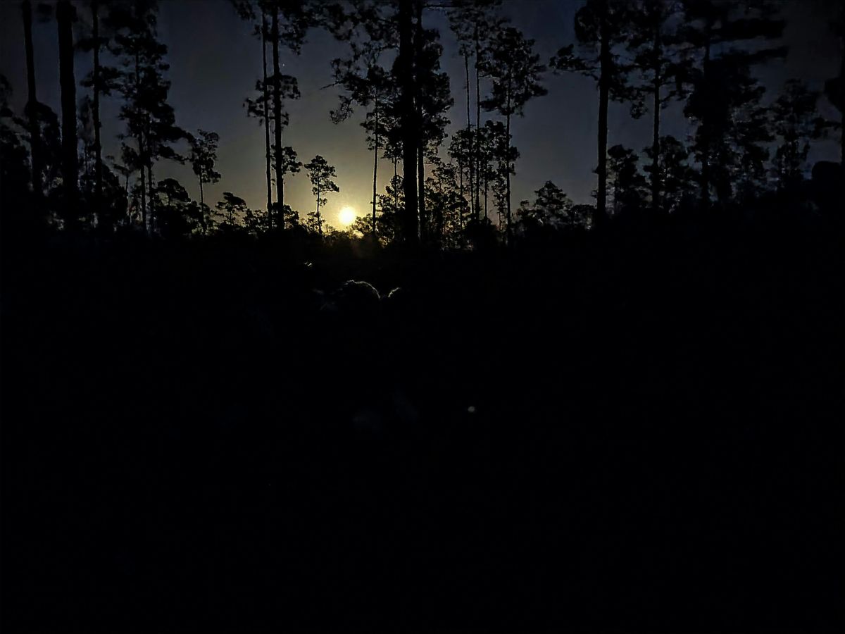 Guided Full Moon Hike