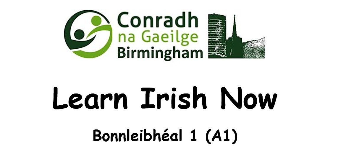 Learn Irish Now! (Beginners A1.1 - 10 months course)
