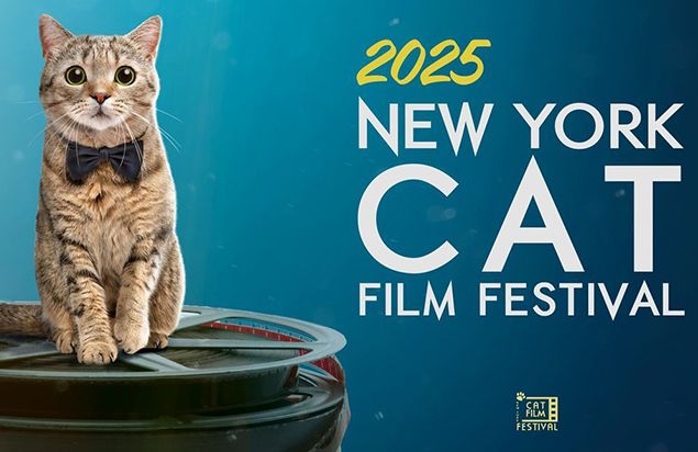 2025 NY Cat Film Festival at the Frank Banko Alehouse Cinemas