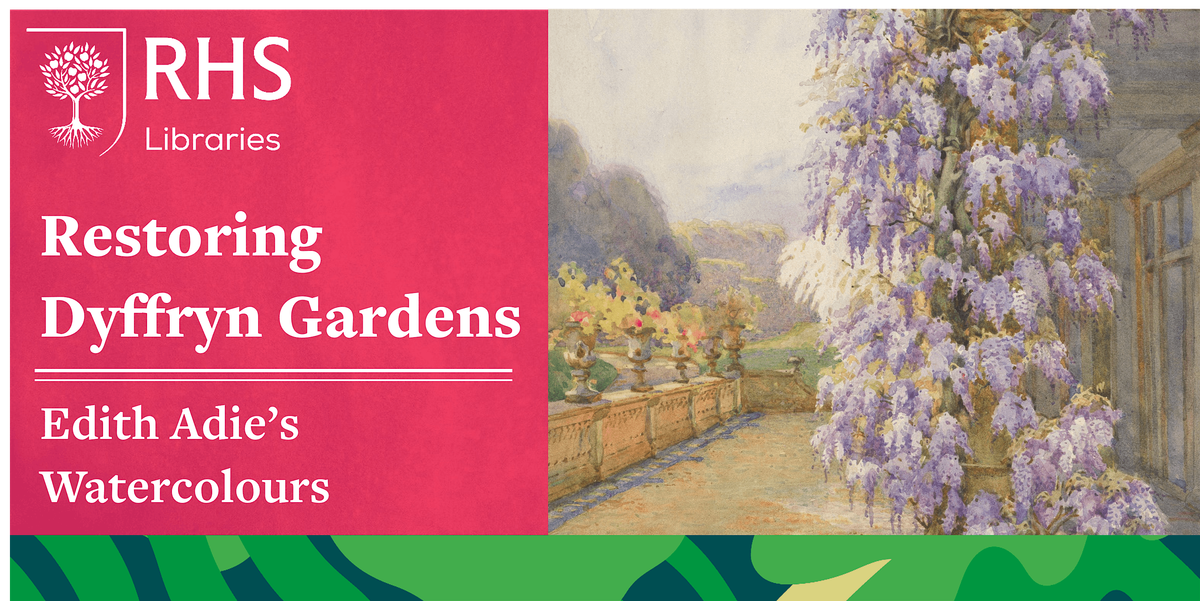 Lindley Live - Restoring Dyffryn Gardens: Edith Adie's Watercolours