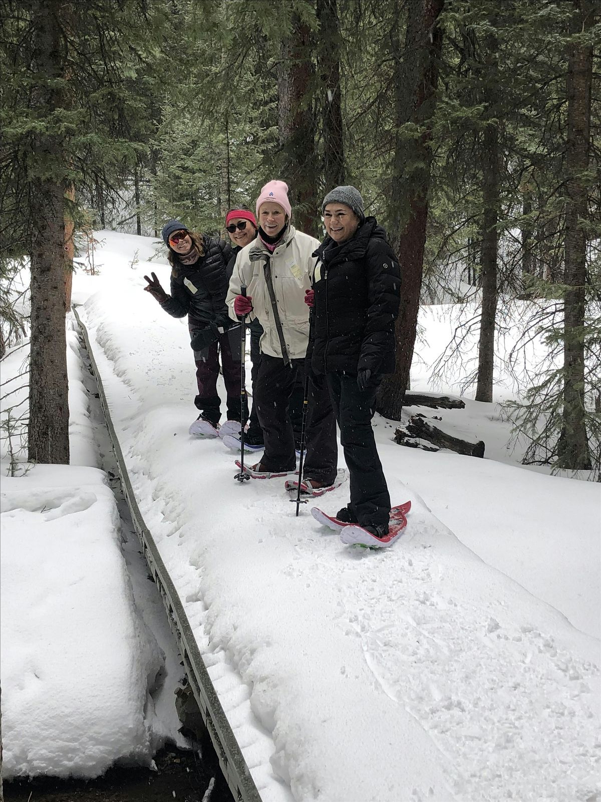 Mindfulness Snowshoe with Leslie Glenn