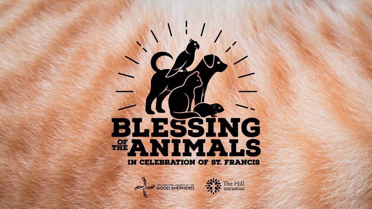 Blessing of the Animals