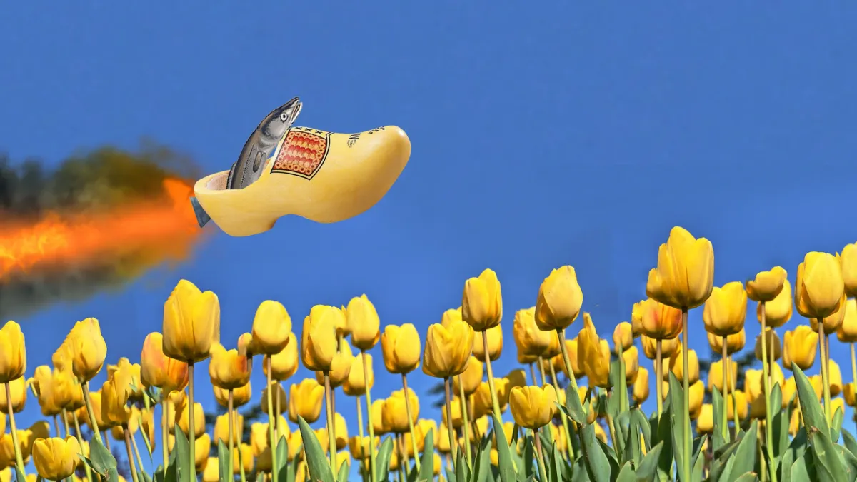 gladde paling in Leiden