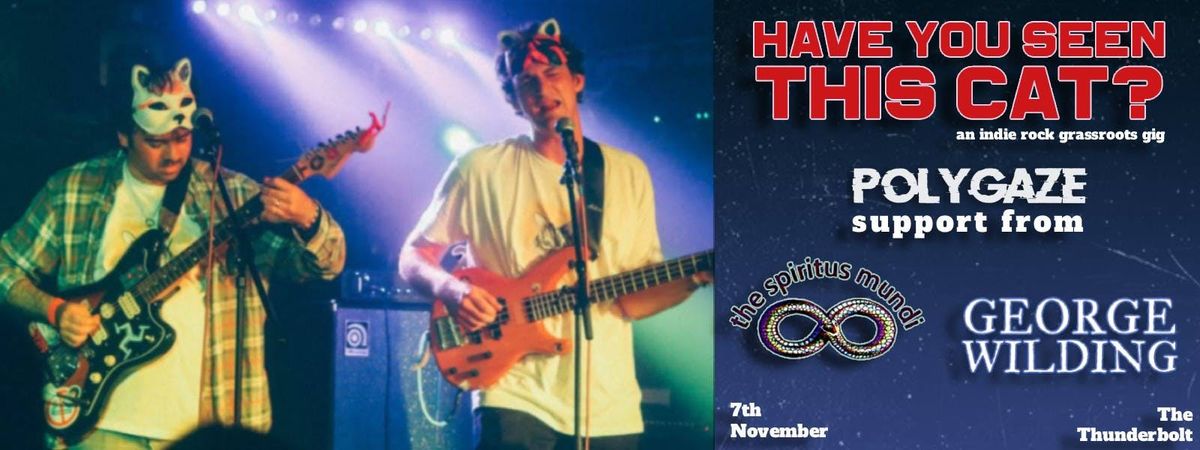 POLYGAZE Presents: Have You Seen This Cat? An Grassroots Indie Rock Gig