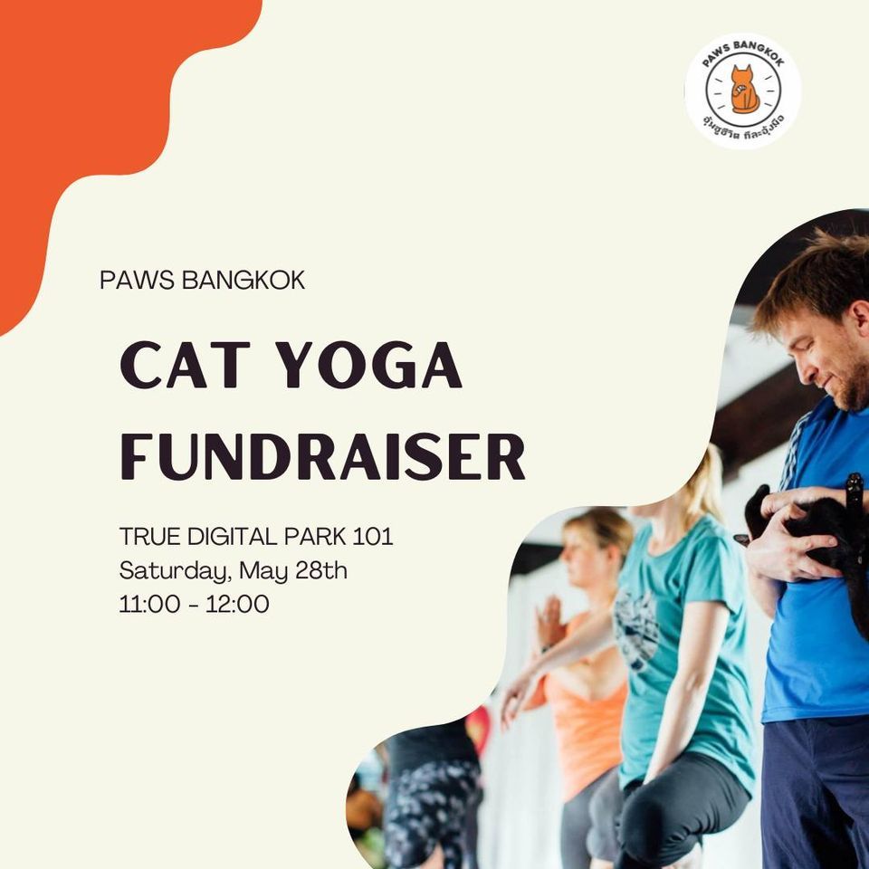 Cat Yoga Fundraiser