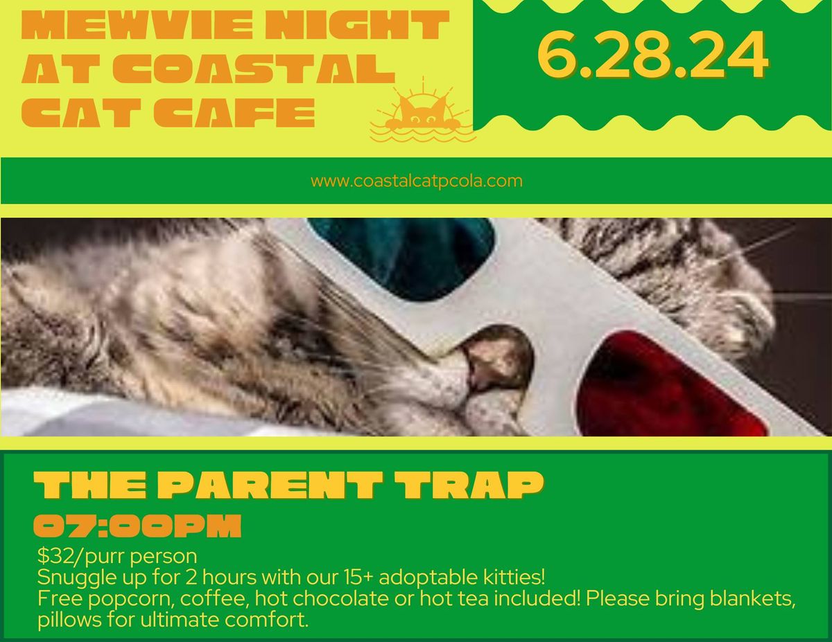 Mewvie Night at Coastal Cat Cafe - The Parent Trap!!