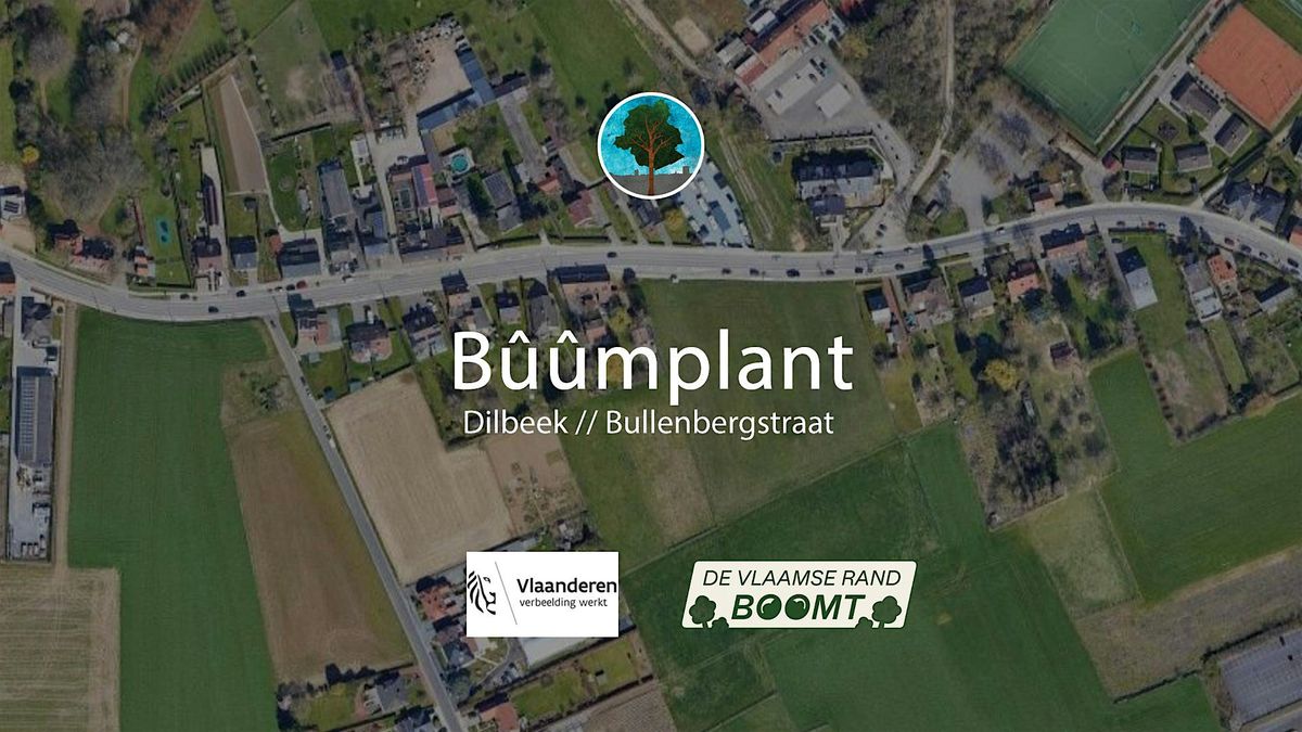 B\u00fb\u00fbmplant Dilbeek - Bullenbergstraat