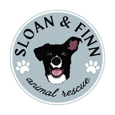 Sloan and Finn Animal Rescue