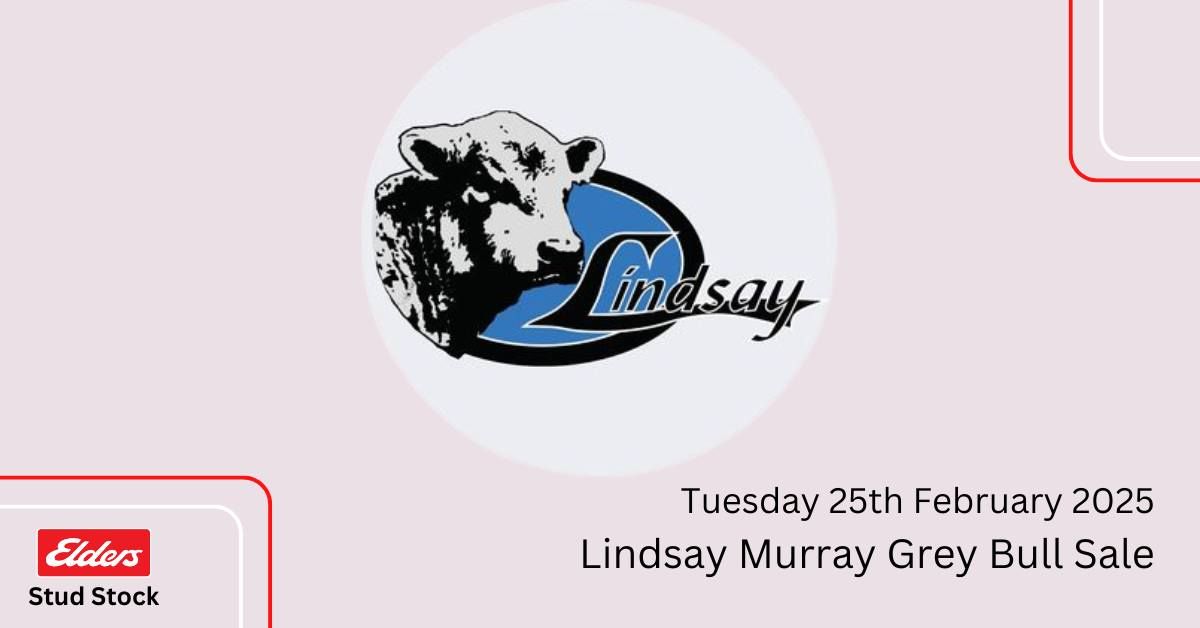 Lindsay Murray Grey Production Sale