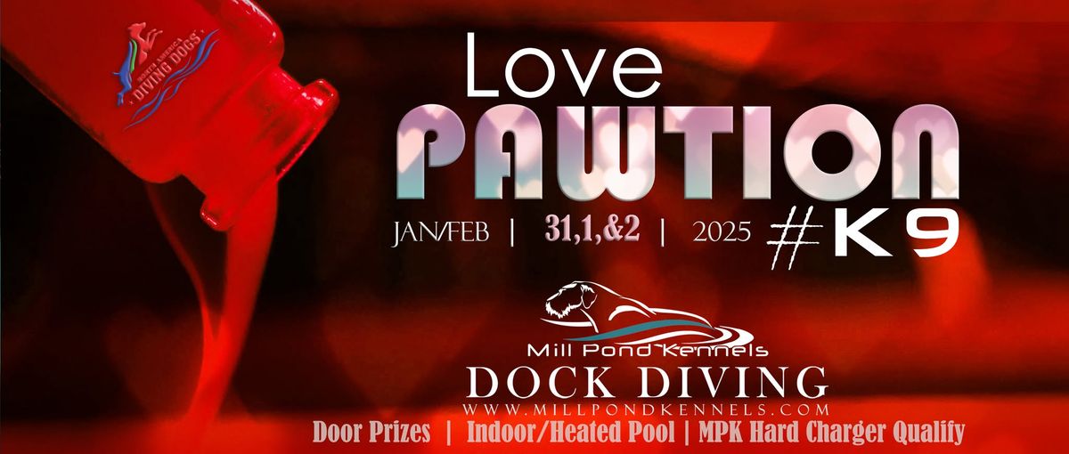 Dock Diving:  Mill Pond Kennels Love Pawtion #K9 Event