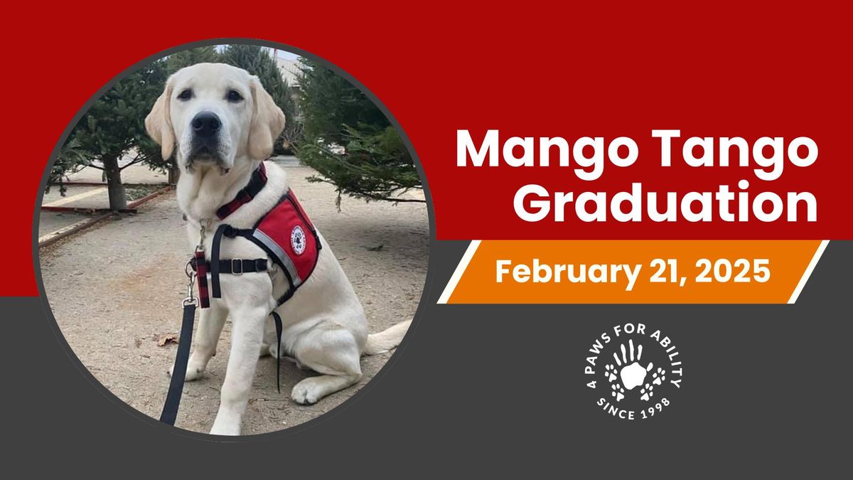 Mango Tango Graduation